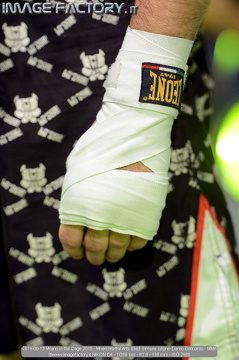 2015-06-13 Milano in the Cage 2015 - Mixed Martial Arts 0963 Simone Iuliano-Danilo Belluardo - MMA
